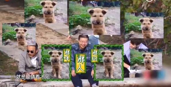 柳岩吐槽李诞眼睛太小,柳岩李诞脱口秀