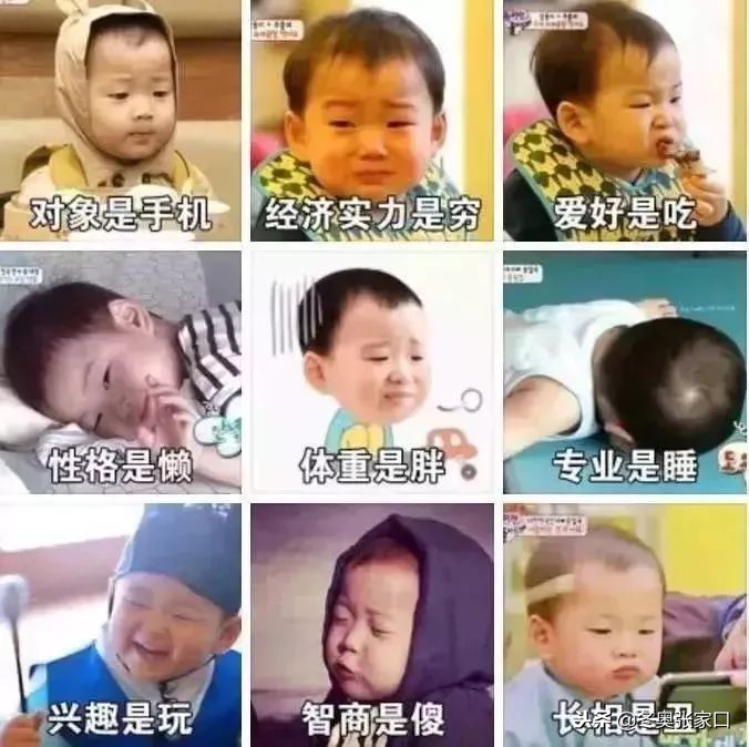 张家口最近有什么好消息,今日张家口新消息