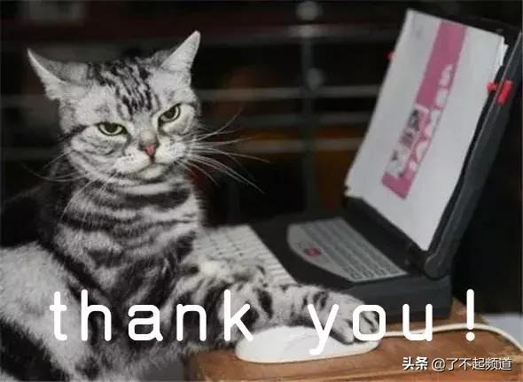 中国人给英国做了一个12306，帮他们买火车票