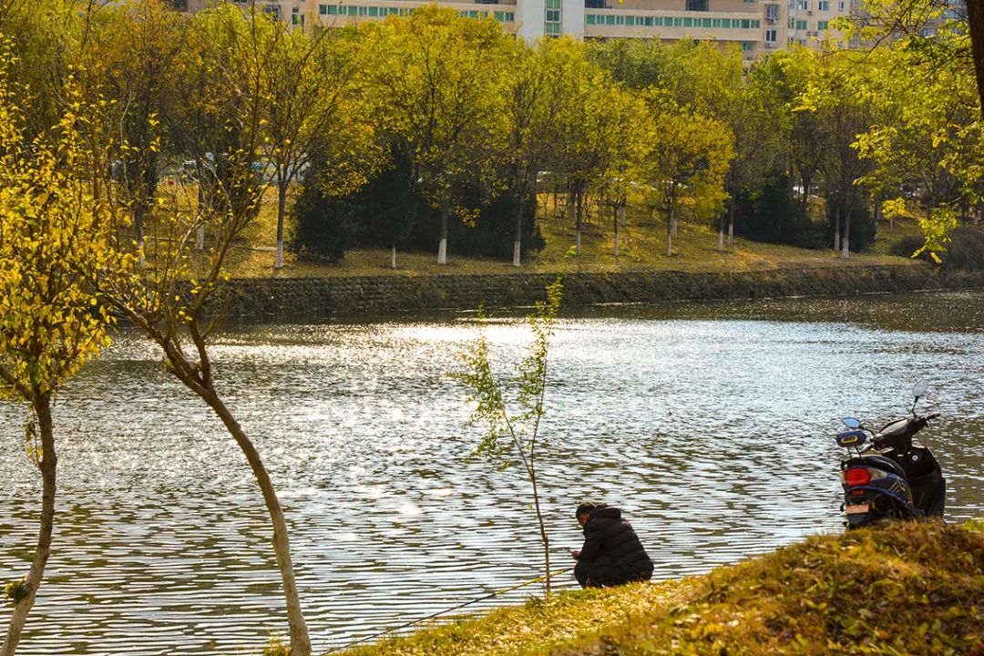 春意盎然北京五大公园,北京区级综合性公园