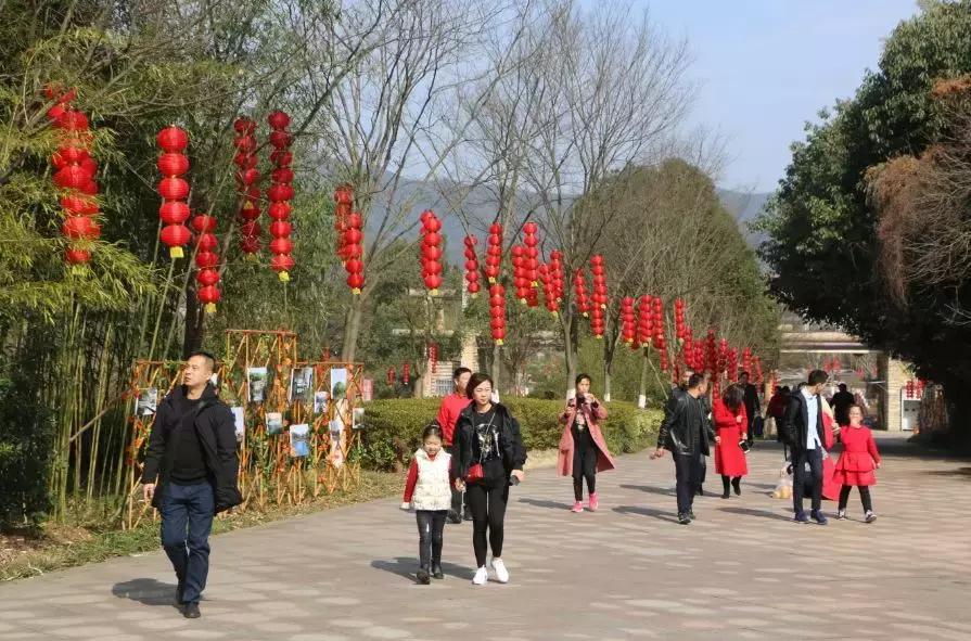 今天,我在宜兴竹海,过传统春节,沾福气满满!