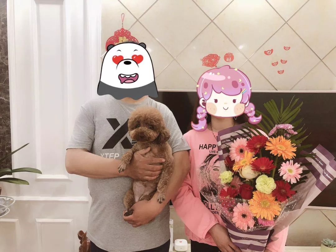 爸妈养宠物之后，就没你什么事了