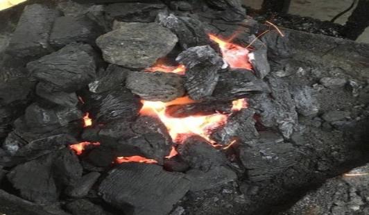 多肉璀璨小苗配土介质,养多肉需要哪些常备药