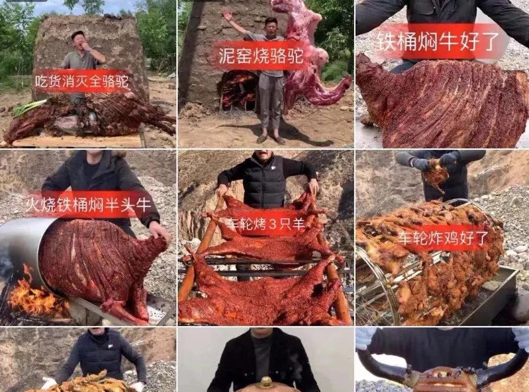 藏地九哥与雪茸堂对比,藏地九哥和雪茸堂合作