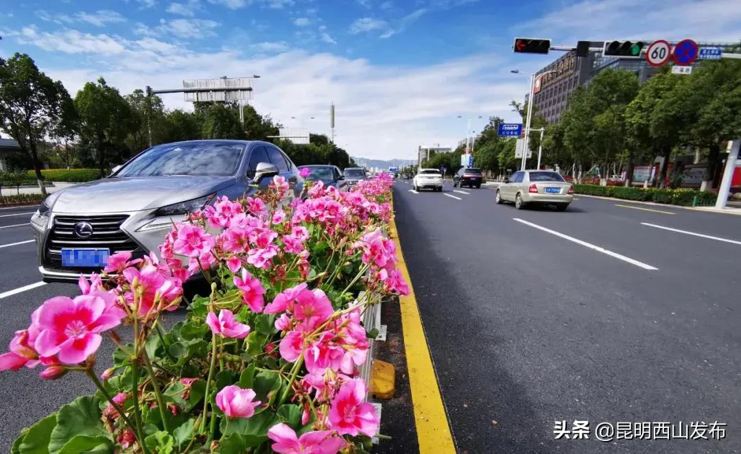 鏄嗘槑cop15鏄ュ煄涔嬬害娴峰焸浼氬爞澶滄櫙,鏄嗘槑cop15鏄ュ煄涔嬬害