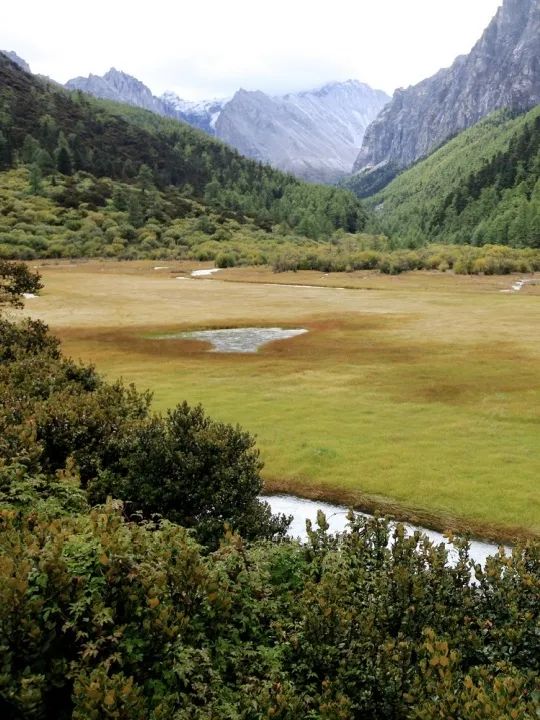 稻城亚丁这里有你想要的诗和远方,在稻城亚丁视频