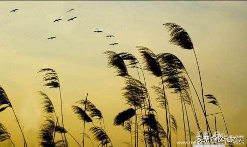 【原创.古韵新声】纤陌畔,小桥东。清溪流水逐残红