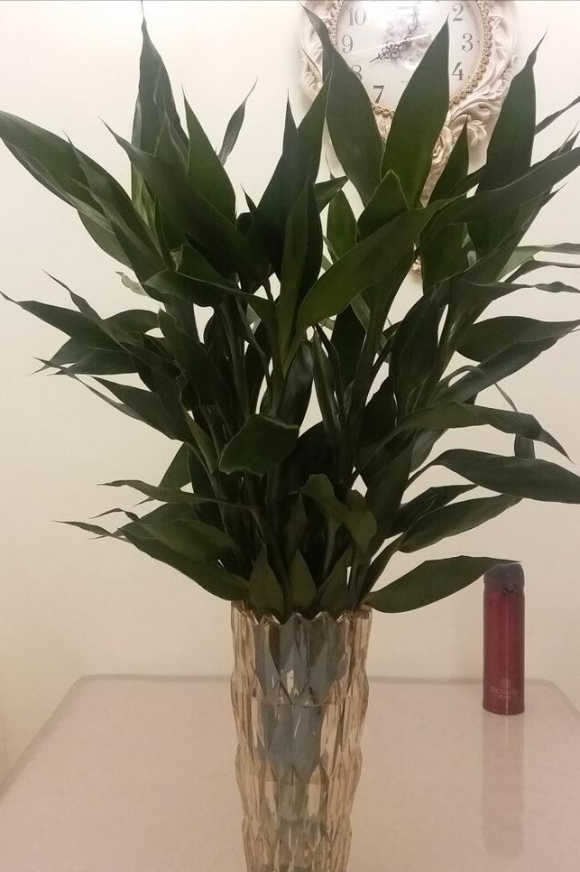 竹报平安富贵竹节节高,竹报平安富贵延年