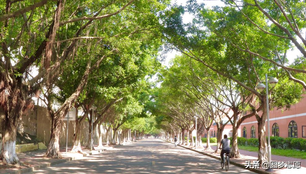 中山大学进华为容易吗,考上中山大学研究生好吗