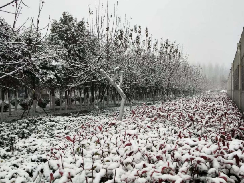 心理治疗和药物治疗的效果,心理治疗对患者有作用么