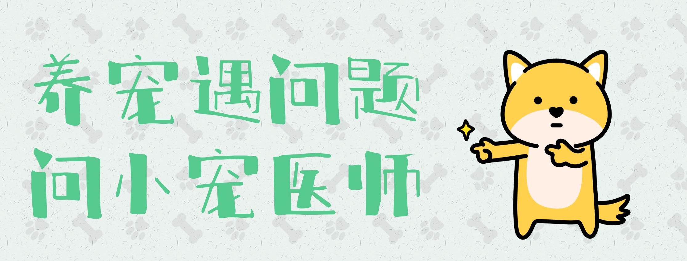 宠物寄生虫怎么预防传染人,宠物体外寄生虫虫卵怎么消灭