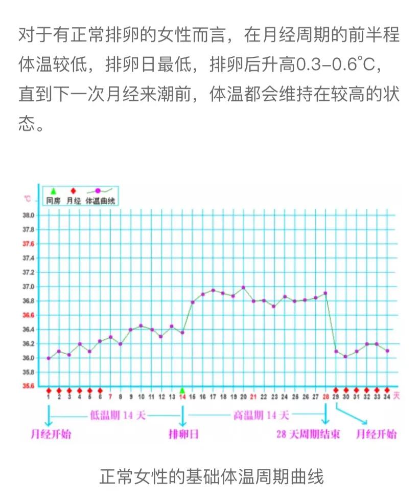 谈谈我的怀孕备孕历程，提高中奖几率