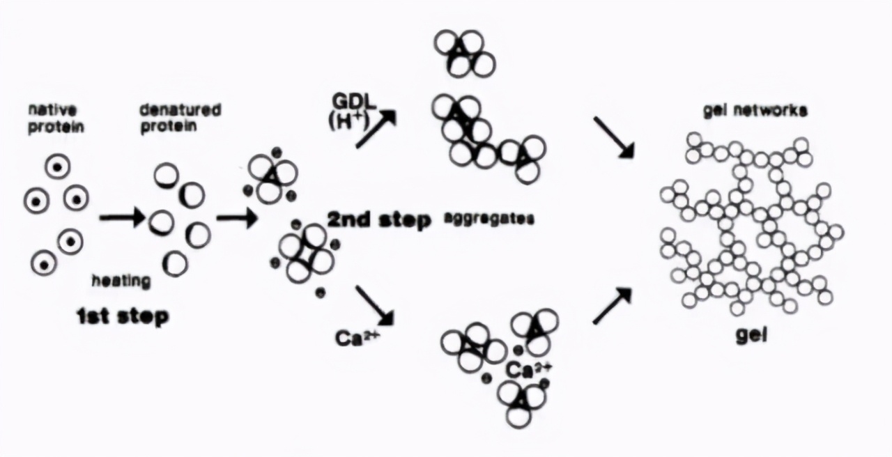 卤水点豆腐根据什么原理,为什么卤水点豆腐点出来是浑的