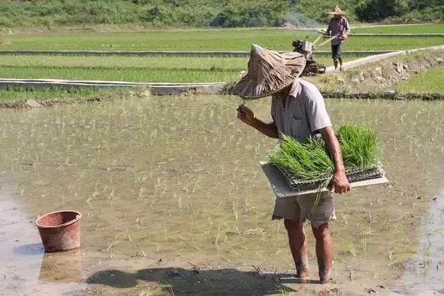 农庄餐饮怎么经营赚钱,怎么经营农家乐卖菜生意