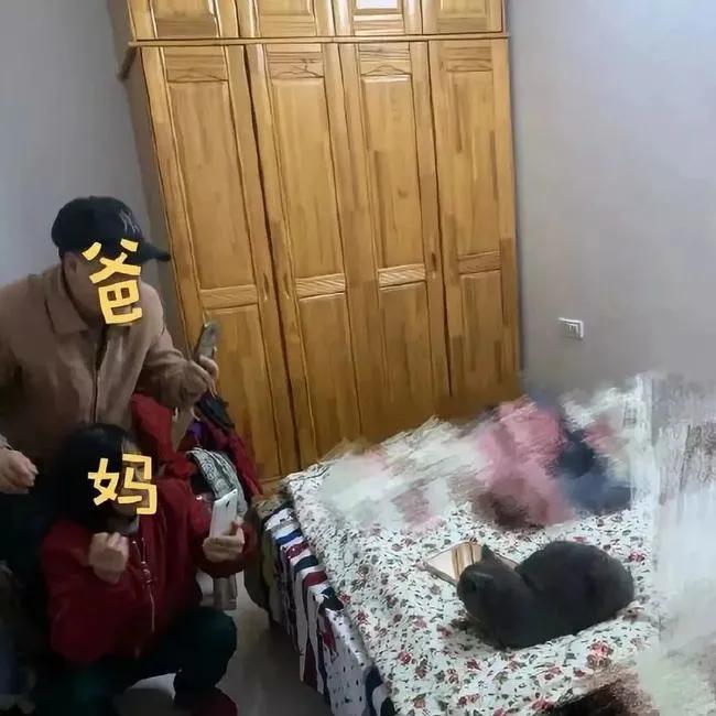 家里不同意养猫,家里不让养猫怎么让家长同意养猫