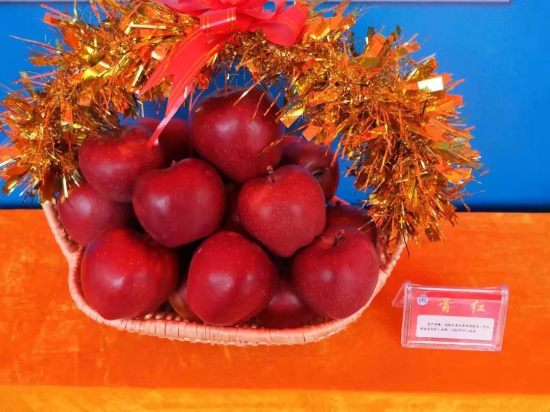 那山那水滇红茶,那山那水我代言