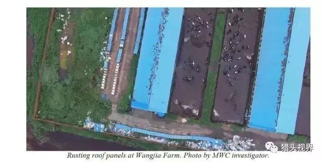 辽宁首富300亿蒸发完整视频,国际著名做空机构