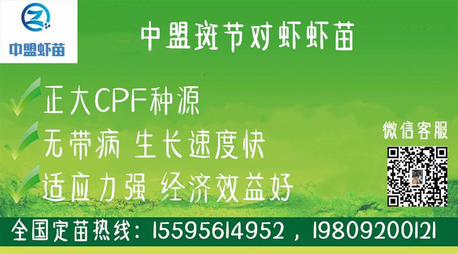 添加硫酸铜养的鱼能吃吗,微量元素对于对虾的影响