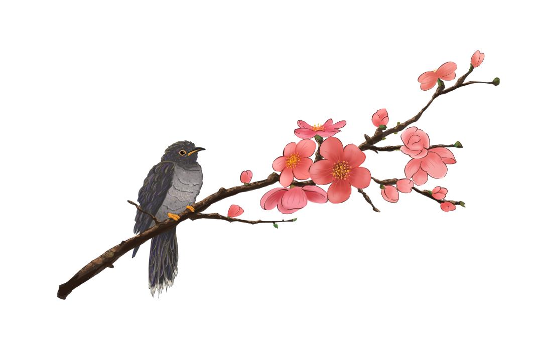 崇州罨画池春节,成都周边一日游崇州罨画池