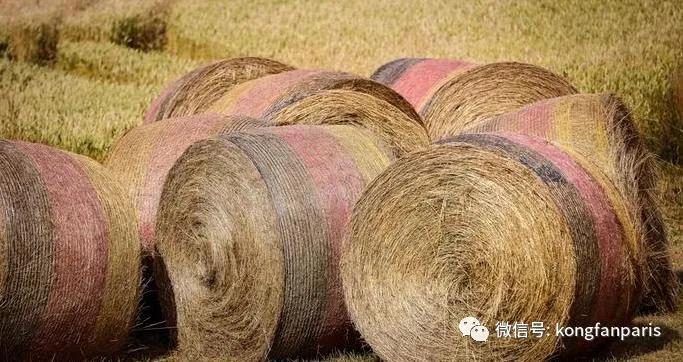 “瘟疫连三月厕纸抵万金?”抢购背后是恐慌