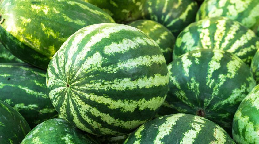 这个季节如何挑选好的西瓜,西瓜怎么选又到了吃西瓜的季节