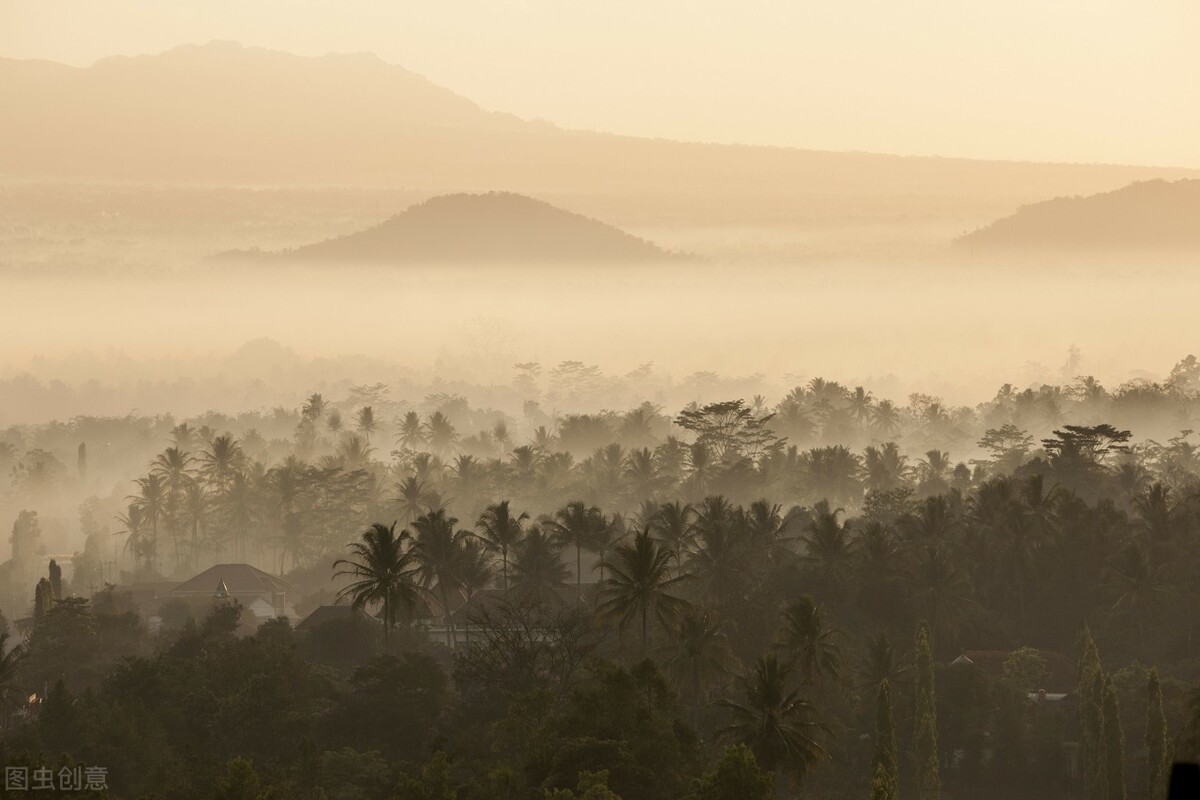 印度尼西亚捕获的巨蟒,印度尼西亚捕获最大的蛇
