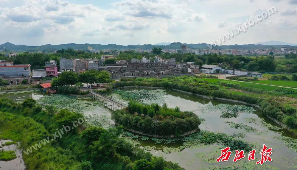 年收入翻了8倍多！肇庆这条村是怎么做到的？