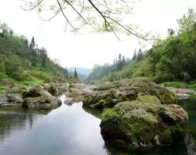 顺丰汪勇之生死之外获得多少奖金,顺丰小哥汪勇连升3级