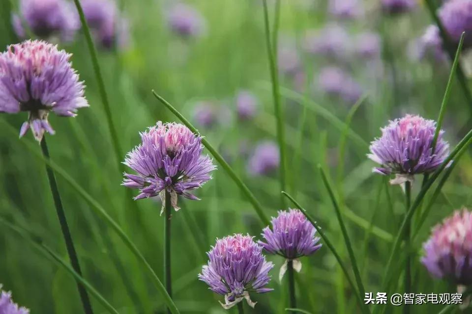 荣事达空调热卖榜,荣事达空调是老牌子吗