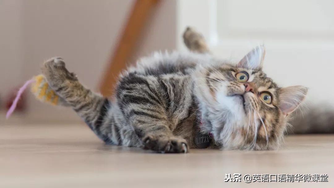 fun和funny可以形容一个人吗,funny可以形容人幽默吗