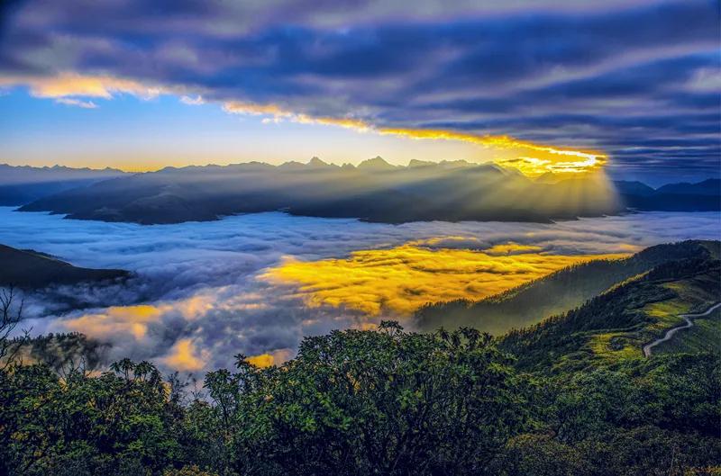 天上人间云海仙境,达瓦更扎云海旅游视频