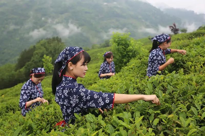 惠州适合亲子游的宝藏胜地,惠州宝藏打卡地