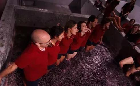 葡萄酒酿造过程需要多长时间,芒康葡萄酒酿造过程