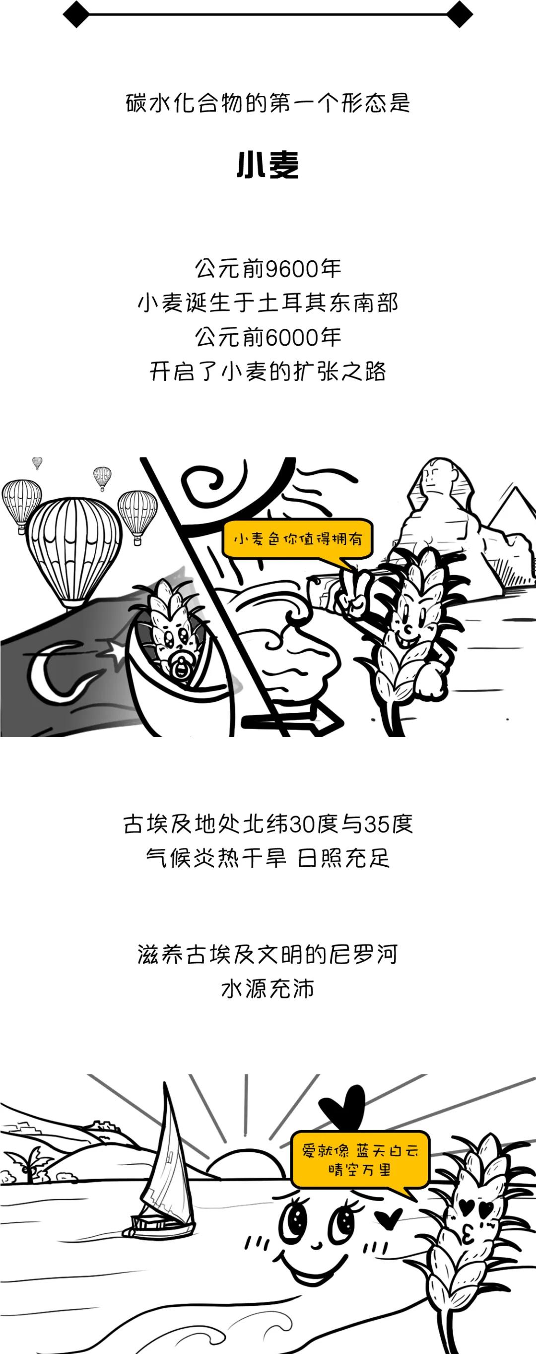 漫画食物简史有阅读价值吗,漫画食物简史漫画书