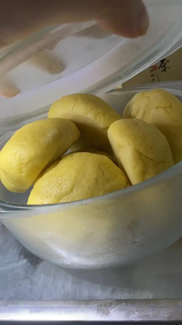 哈哈哈哈哈我笑到我家的狗偷开邻居家的车送我去精神病院