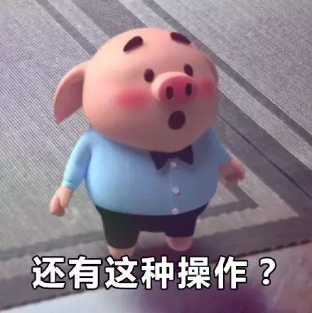 watchdog是不是看门狗,dogwatch