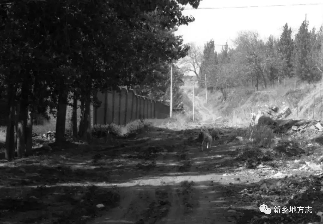 新乡好听名字的玫瑰泉，背后竟有那么多曲折的故事