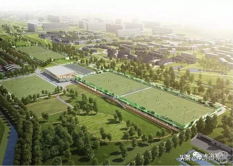 大冶足球公园工程招标,大冶尹家湖足球公园地址