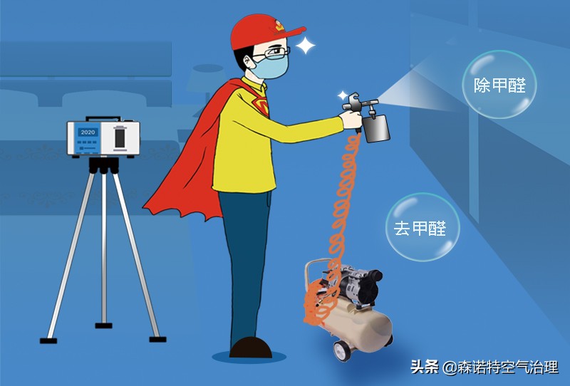 适合室内去除甲醛的植物,室内放什么绿植对去除甲醛有效