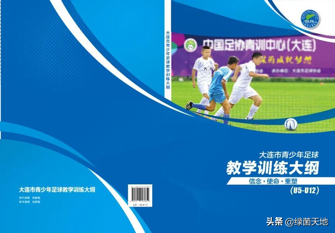 高洪波中国青训,高洪波发展前景如何