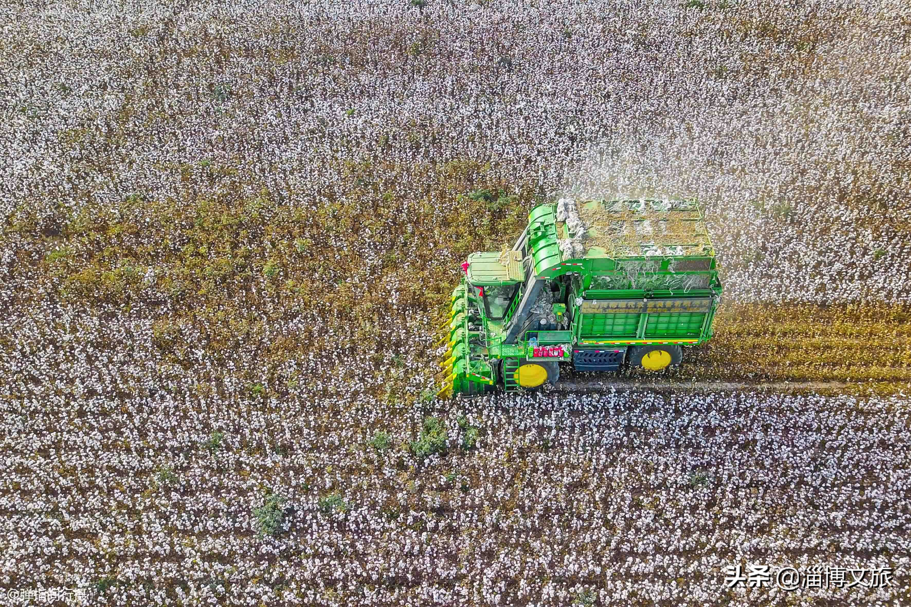 多家国产品牌发声,国货品牌支持新疆棉