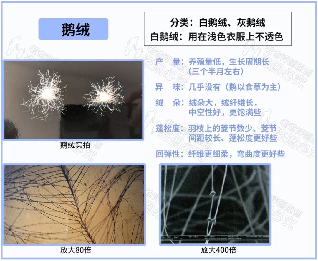 <html>
<head><title>502BadGateway</title></head>
<body>
<center><h1>502BadGateway</h1></center>
<hr><center>nginx</center>
</body>
</html>
<!--apaddingtodisableMSIEandChromefriendlyerrorpage-->
<!--apaddingtodisableMSIEandChromefriendlyerrorpage-->
<!--apaddingtodisableMSIEandChromefriendlyerrorpage-->
<!--apaddingtodisableMSIEandChromefriendlyerrorpage-->
<!--apaddingtodisableMSIEandChromefriendlyerrorpage-->
<!--apaddingtodisableMSIEandChromefriendlyerrorpage-->
