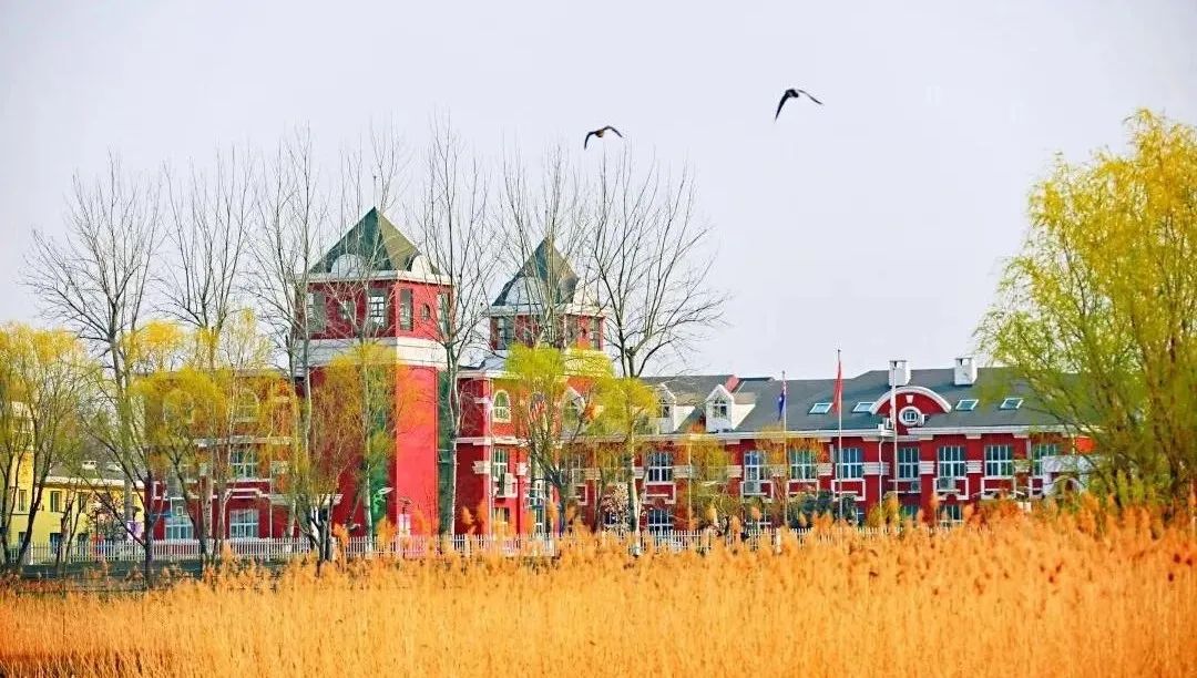 国际学校面试常问的问题,国际学校g7面试问题及回答