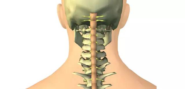 卧龙区第一医院体检,健康科普测一测