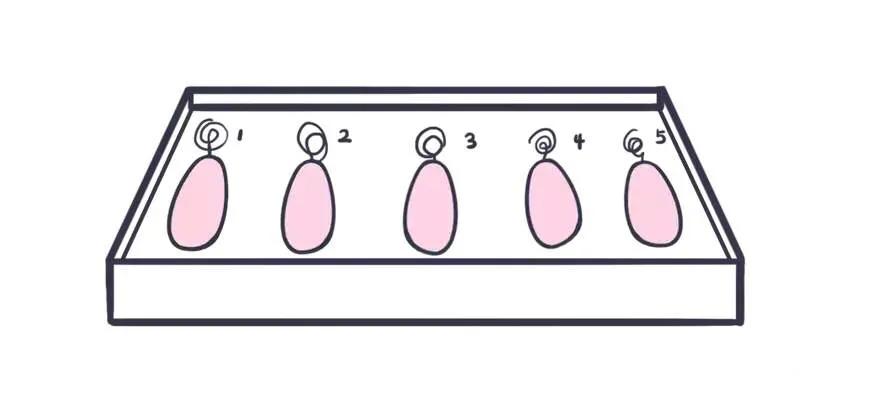 产后哑铃是要完全放进去么,哑铃产后修复怎么做