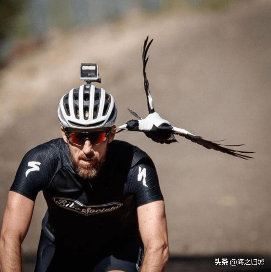 神级抓拍图片,25张令人惊叹的“神”级抓拍