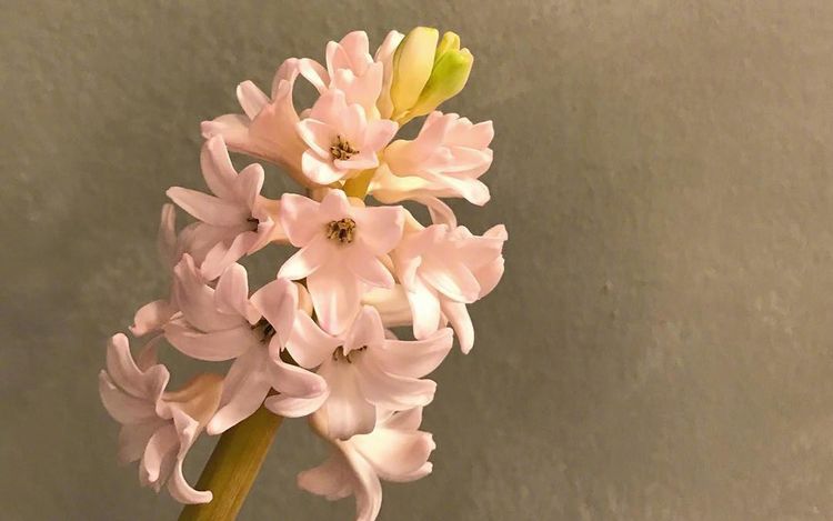 注定走向人生巅峰的四大星座,拥有超强潜力股的四大星座