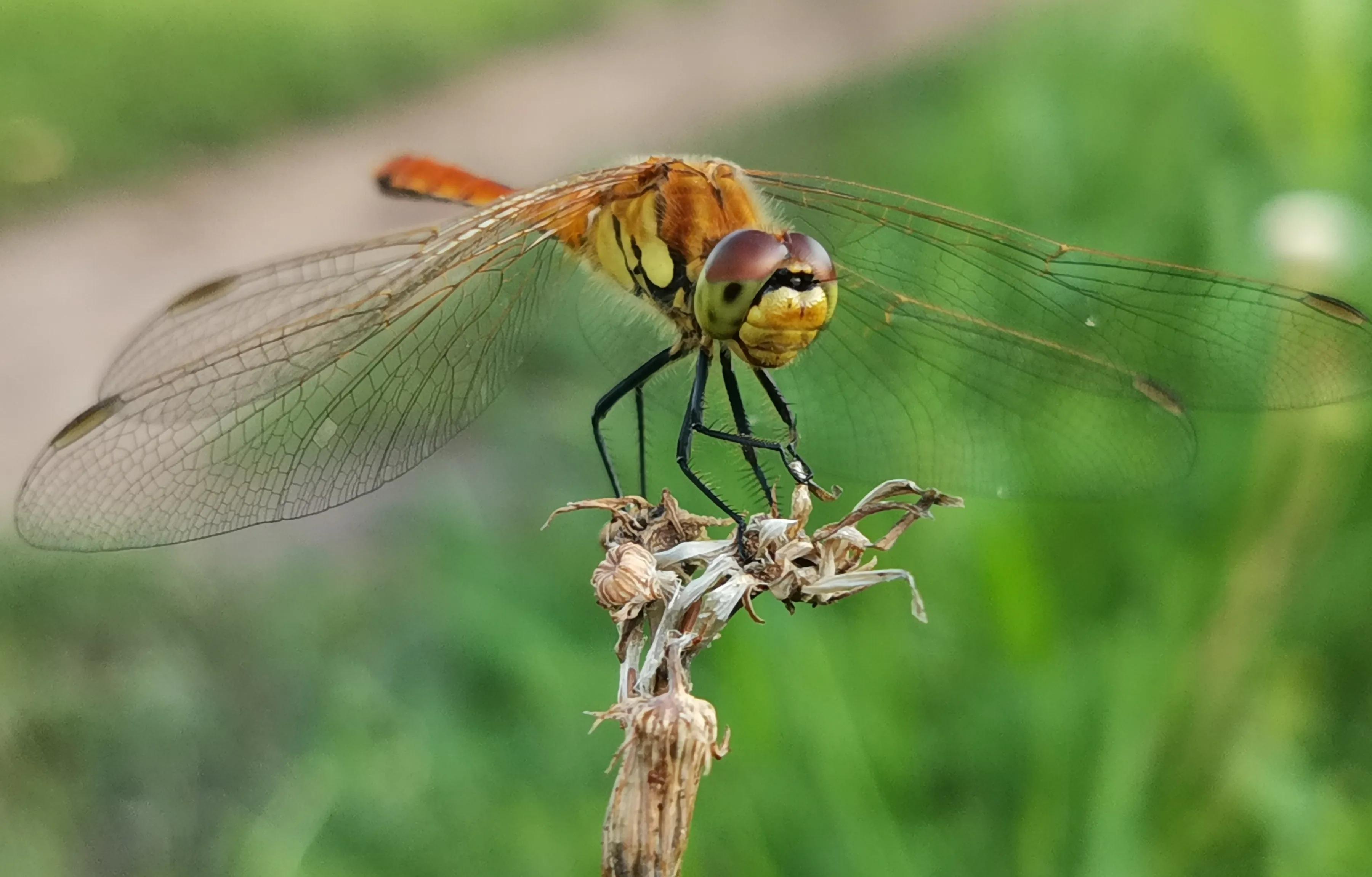 手拍世界手机摄影平台,手拍世界摄影交流平台