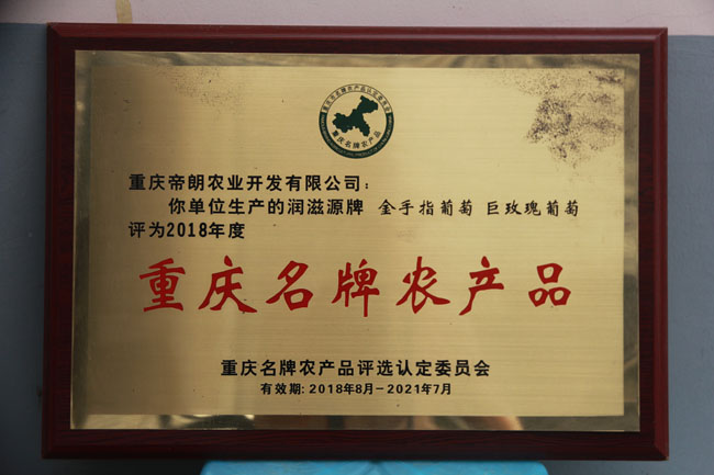 吴培先:重庆水果种植“一姐”的变与不变