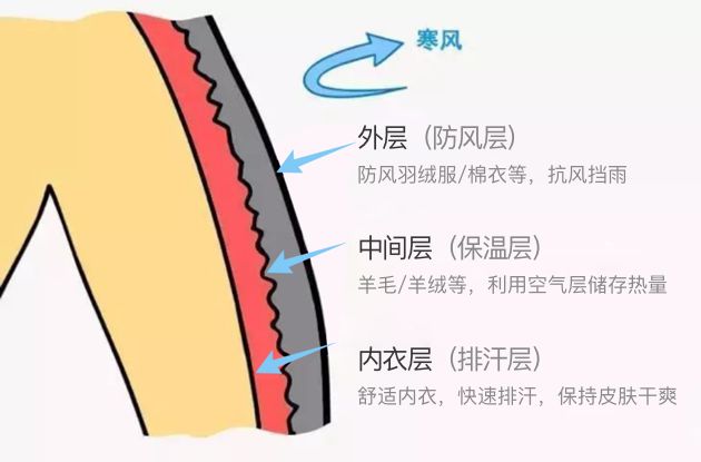 保暖内衣测评2023,保暖内衣测评2019